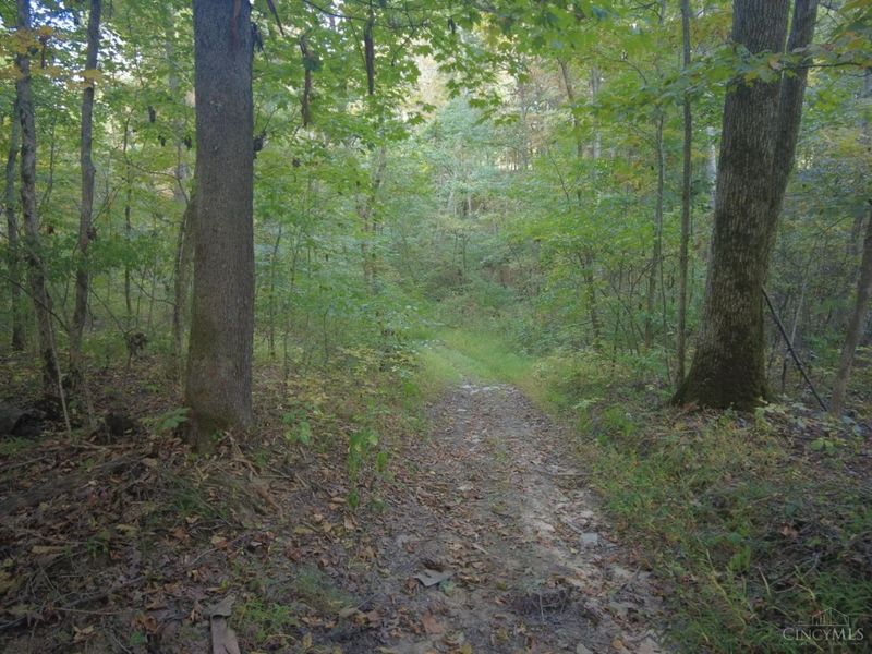 22 Richey Road, Felicity, OH 45120 Photo 12