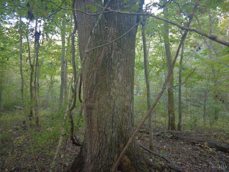 22 Richey Road, Felicity, OH 45120 Photo 13