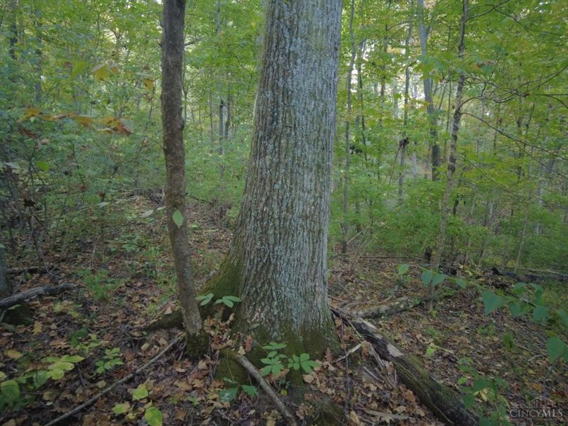 22 Richey Road, Felicity, OH 45120 Photo 14