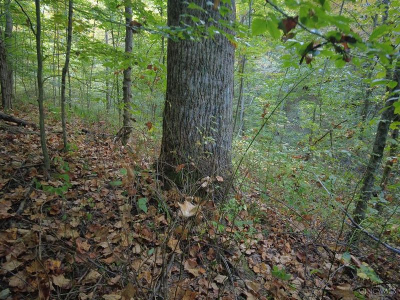 22 Richey Road, Felicity, OH 45120 Photo 19