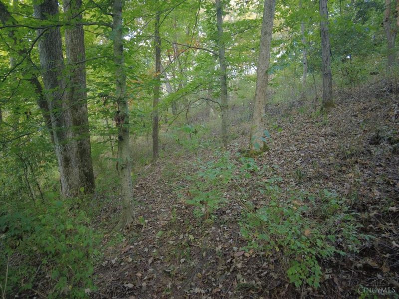 22 Richey Road, Felicity, OH 45120 Photo 21