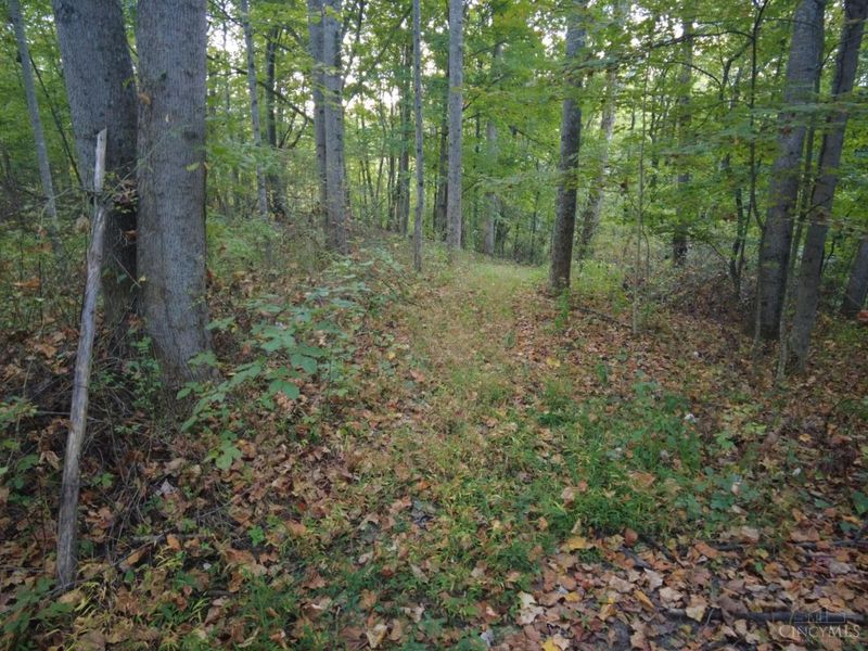 22 Richey Road, Felicity, OH 45120 Photo 23