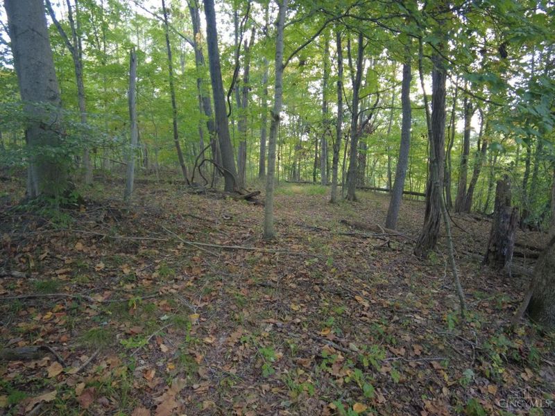 22 Richey Road, Felicity, OH 45120 Photo 24