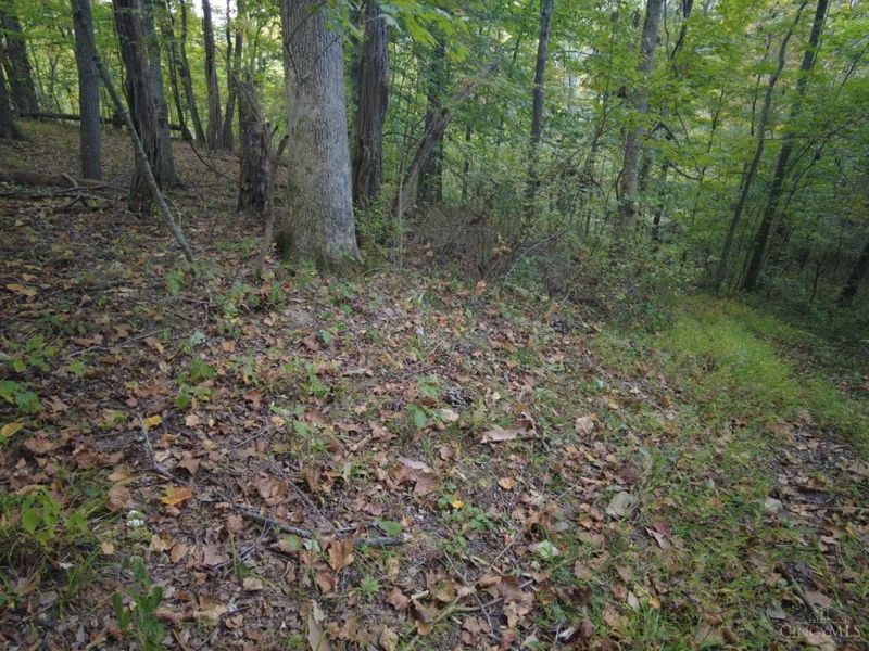 22 Richey Road, Felicity, OH 45120 Photo 25