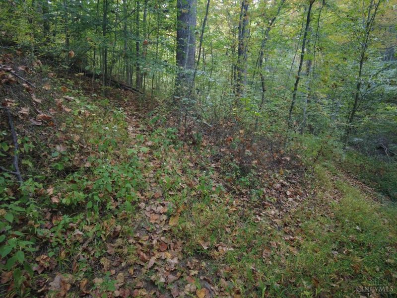 22 Richey Road, Felicity, OH 45120 Photo 26