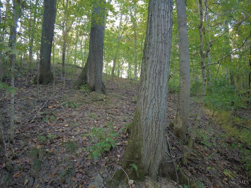 22 Richey Road, Felicity, OH 45120 Photo 28