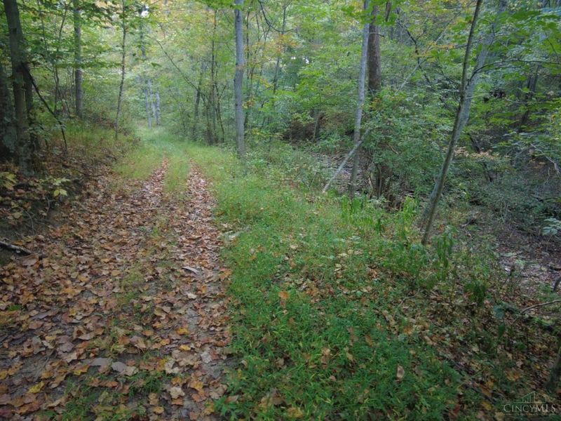 22 Richey Road, Felicity, OH 45120 Photo 29