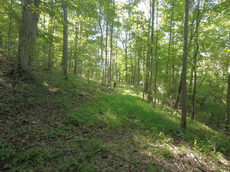 16 Black Hollow Road, Franklin Twp, OH 45660 Photo 10