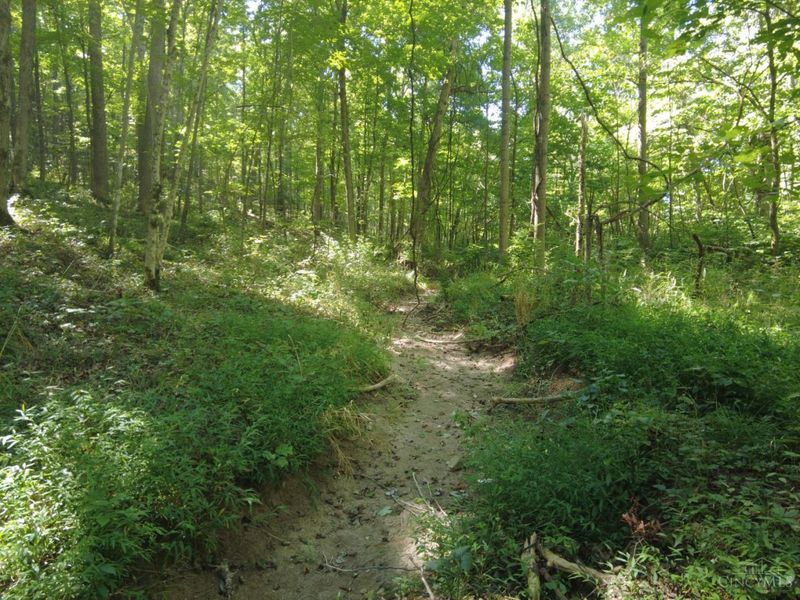 16 Black Hollow Road, Franklin Twp, OH 45660 Photo 11