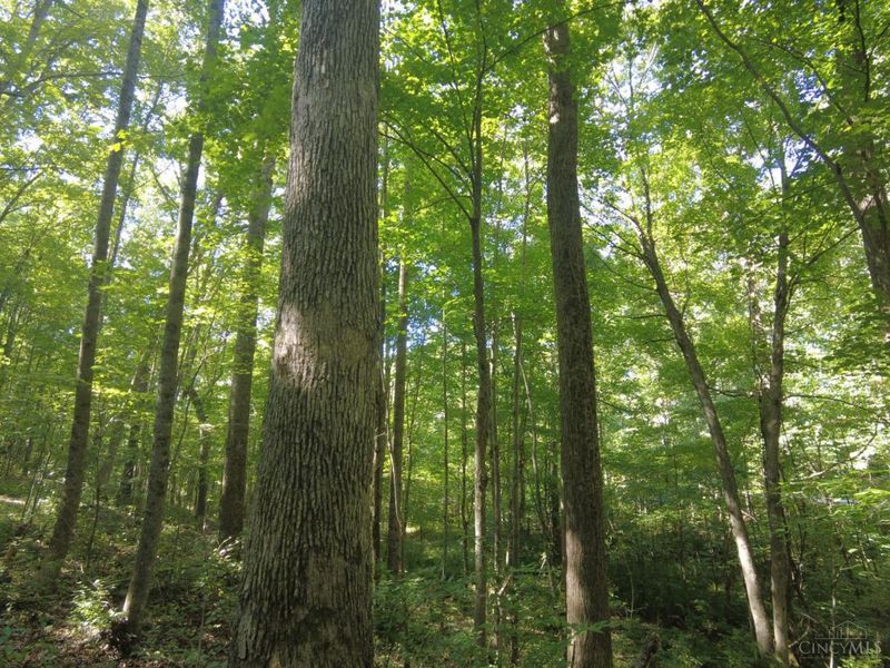 16 Black Hollow Road, Franklin Twp, OH 45660 Photo 12