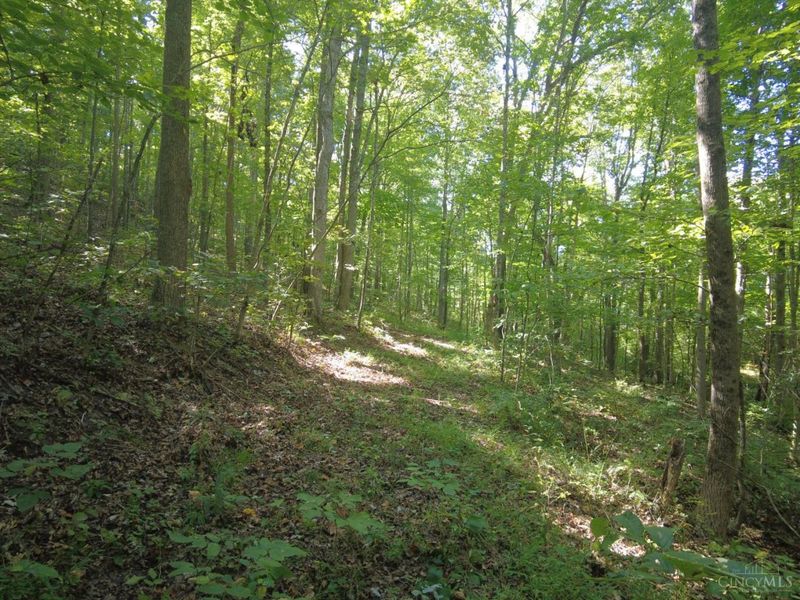 16 Black Hollow Road, Franklin Twp, OH 45660 Photo 13