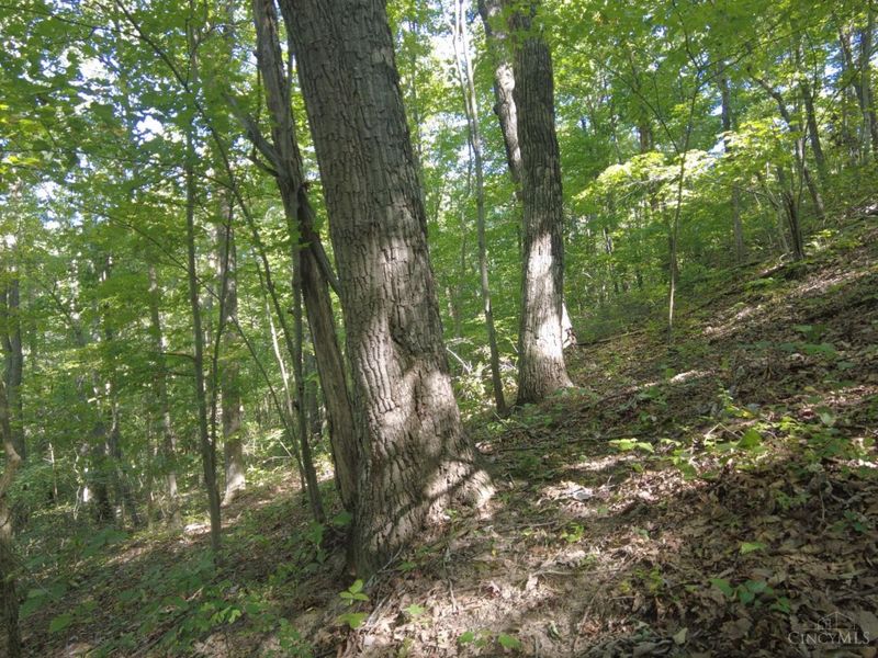 16 Black Hollow Road, Franklin Twp, OH 45660 Photo 16