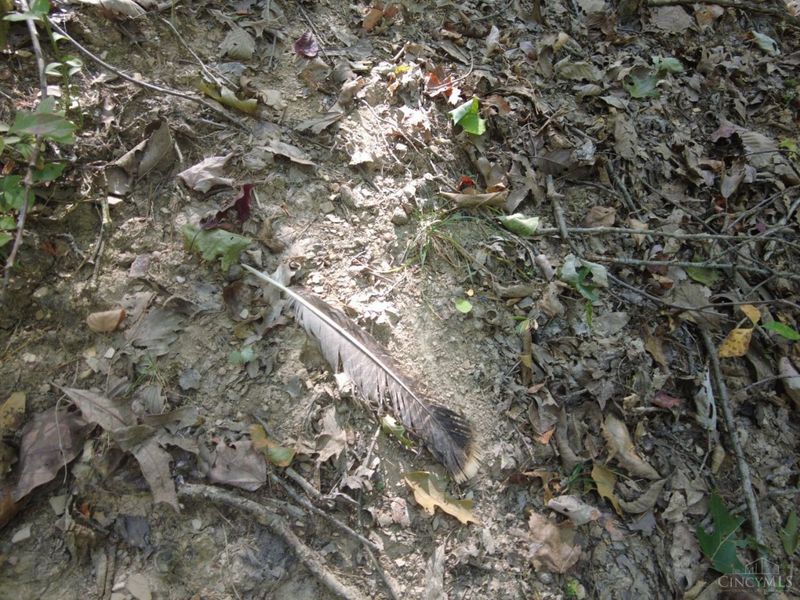 16 Black Hollow Road, Franklin Twp, OH 45660 Photo 17