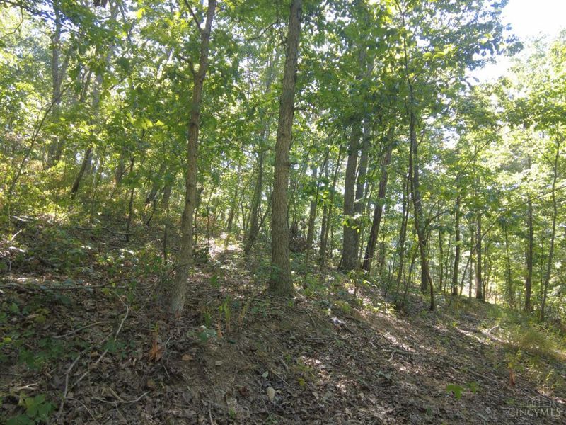 16 Black Hollow Road, Franklin Twp, OH 45660 Photo 18