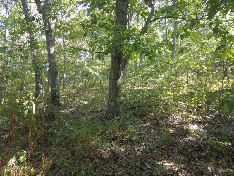 16 Black Hollow Road, Franklin Twp, OH 45660 Photo 19