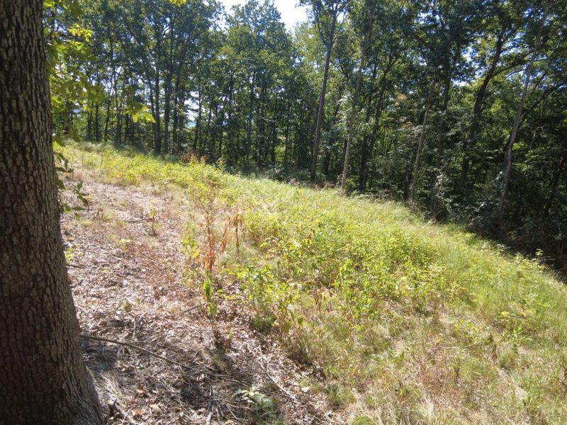 16 Black Hollow Road, Franklin Twp, OH 45660 Photo 21