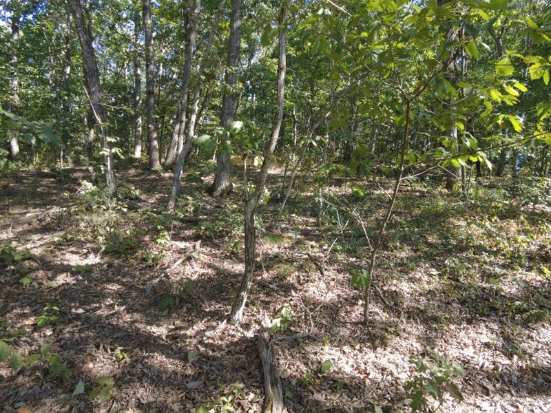 16 Black Hollow Road, Franklin Twp, OH 45660 Photo 22