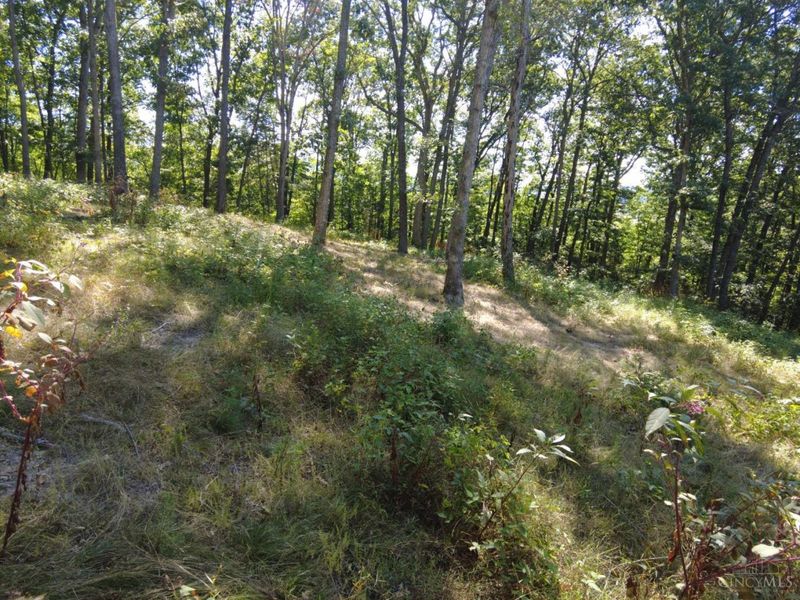 16 Black Hollow Road, Franklin Twp, OH 45660 Photo 23