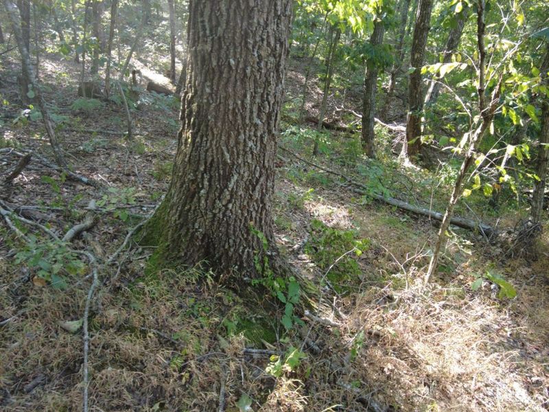 16 Black Hollow Road, Franklin Twp, OH 45660 Photo 27