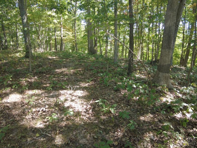 16 Black Hollow Road, Franklin Twp, OH 45660 Photo 28