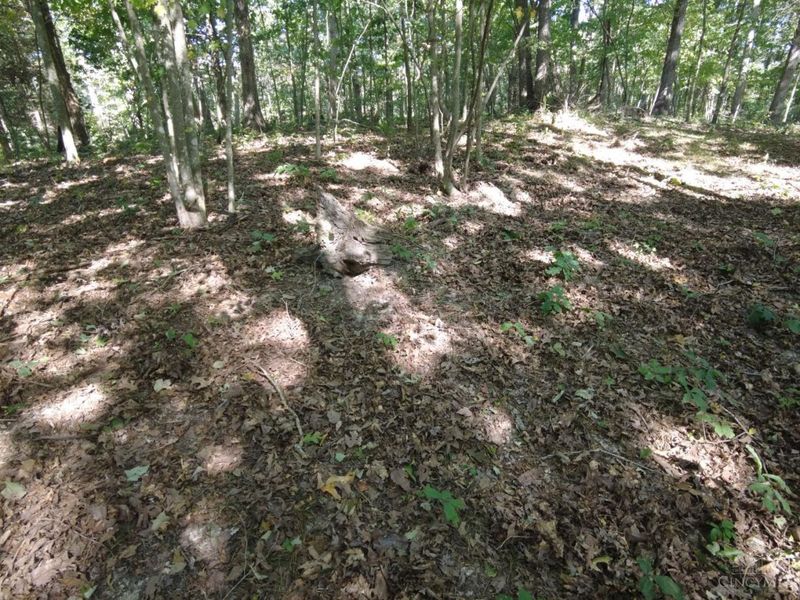 16 Black Hollow Road, Franklin Twp, OH 45660 Photo 29