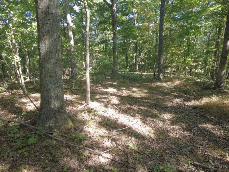 16 Black Hollow Road, Franklin Twp, OH 45660 Photo 31