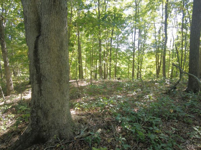 16 Black Hollow Road, Franklin Twp, OH 45660 Photo 32