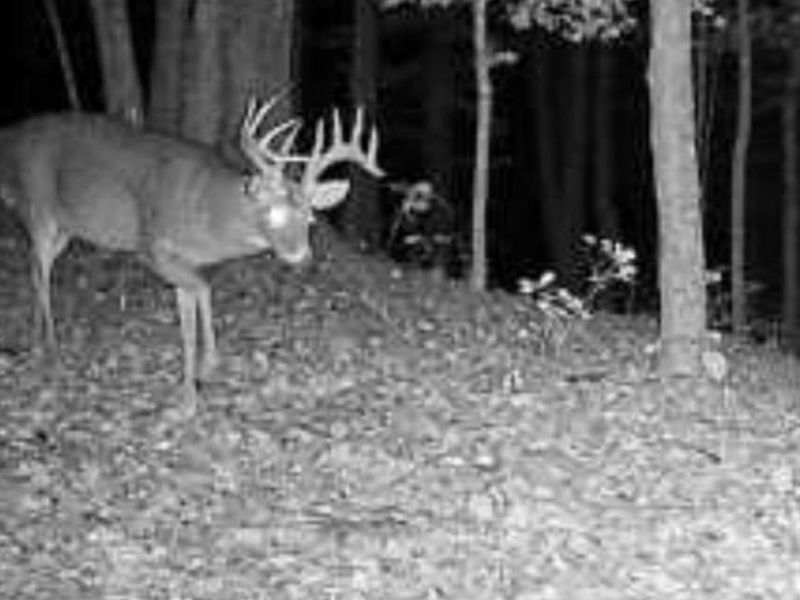 16 Black Hollow Road, Franklin Twp, OH 45660 Photo 36