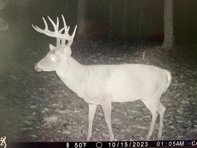 16 Black Hollow Road, Franklin Twp, OH 45660 Photo 38