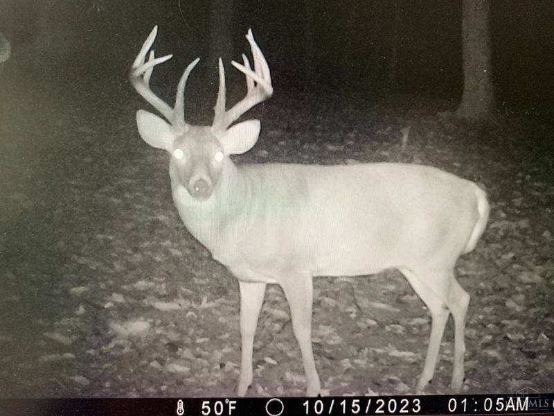 16 Black Hollow Road, Franklin Twp, OH 45660 Photo 6