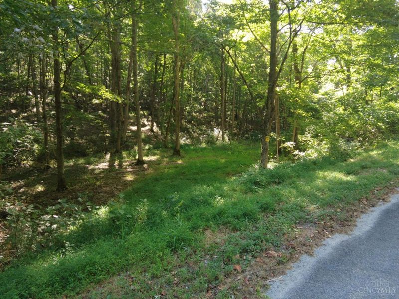 16 Black Hollow Road, Franklin Twp, OH 45660 Photo 7