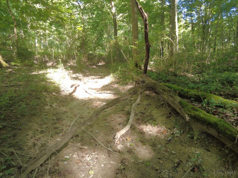 16 Black Hollow Road, Franklin Twp, OH 45660 Photo 9