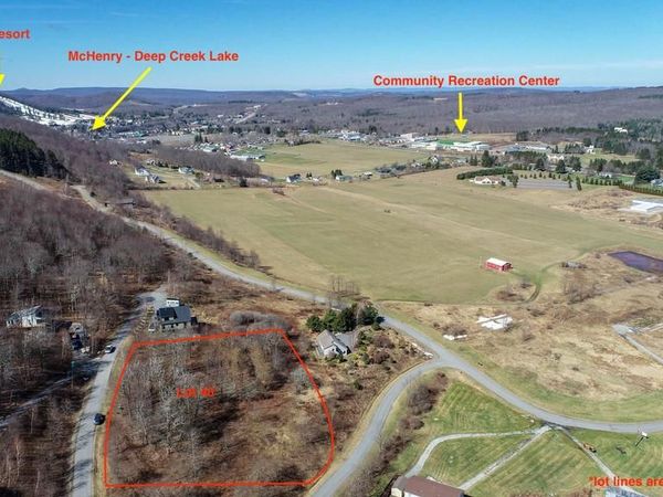 40 DAISY DRIVE, MC HENRY, MD 21541