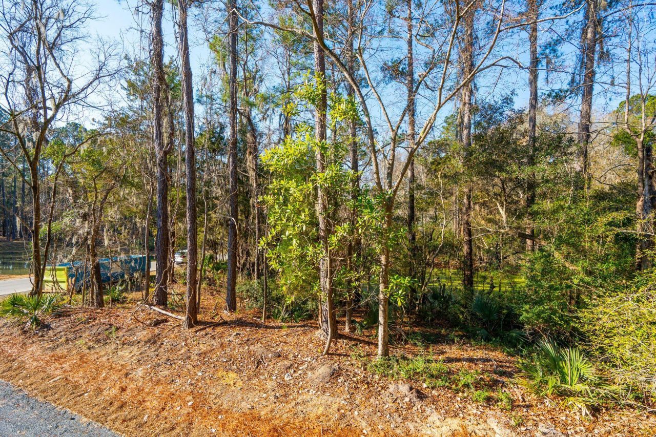 3135 Vanessa Lynne Lane Photo 55