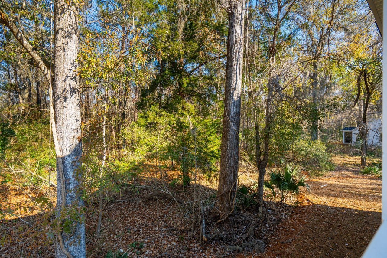 3135 Vanessa Lynne Lane Photo 57