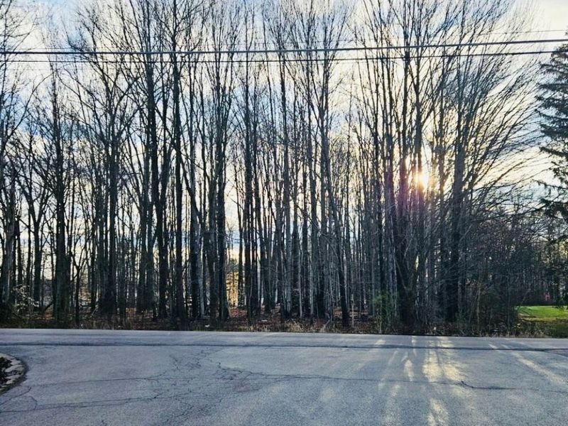 VL Luteran Ln , Poland, OH 44514 Photo 1