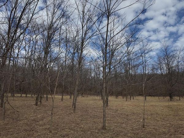 Lt1 FREEDOM ROAD, Oxford, WI 53952