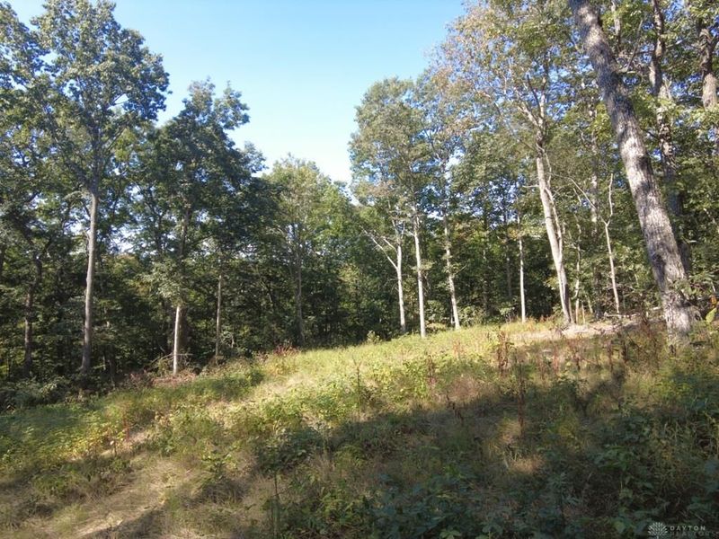 16 Black Hollow Road, Peebles, OH 45660 Photo 20