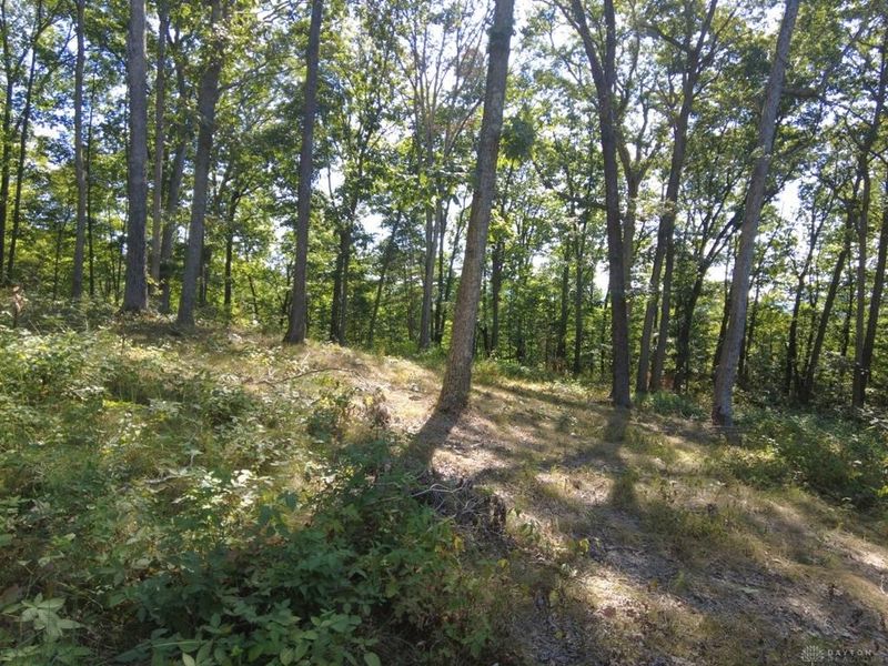 16 Black Hollow Road, Peebles, OH 45660 Photo 21