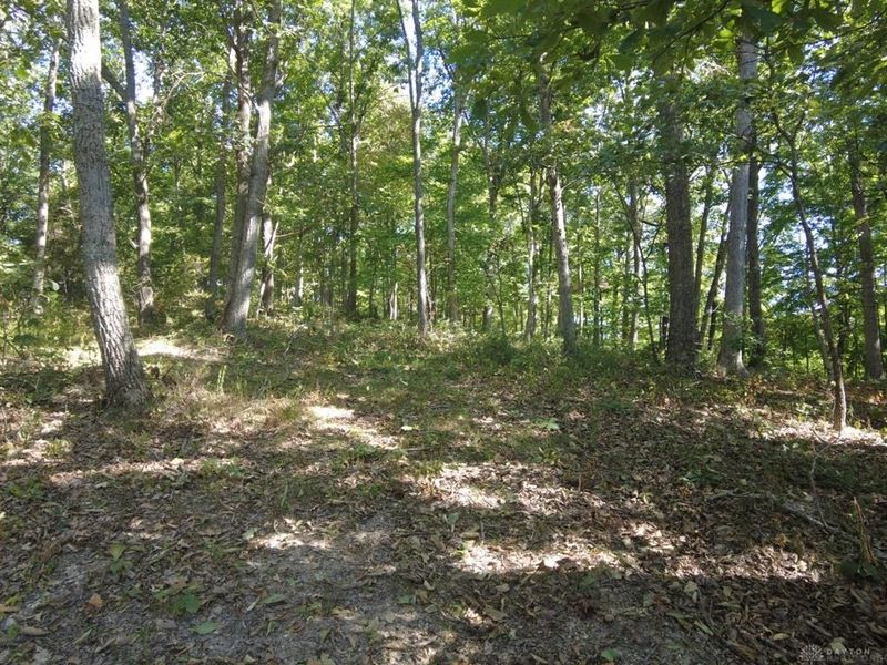 16 Black Hollow Road, Peebles, OH 45660 Photo 22