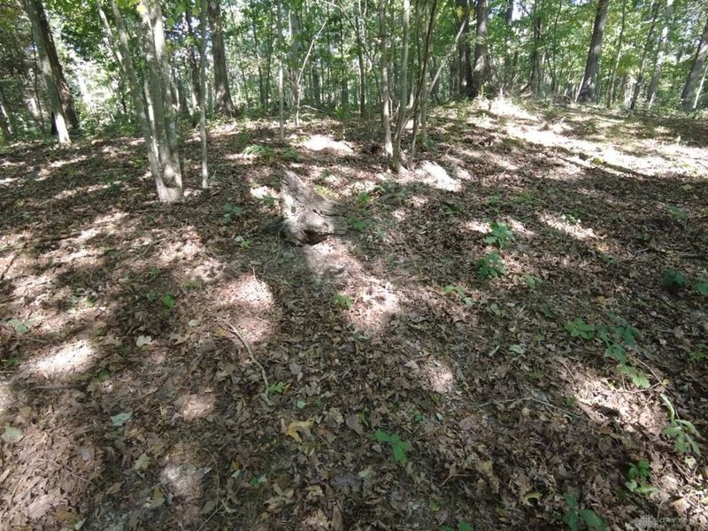 16 Black Hollow Road, Peebles, OH 45660 Photo 24