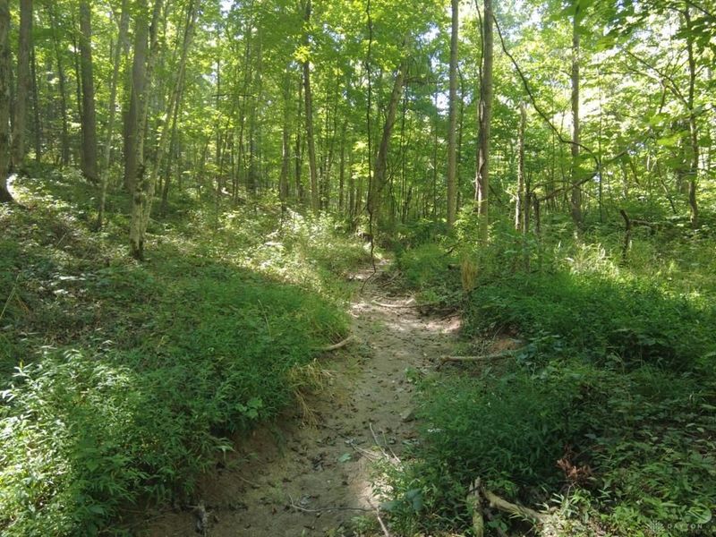 16 Black Hollow Road, Peebles, OH 45660 Photo 5