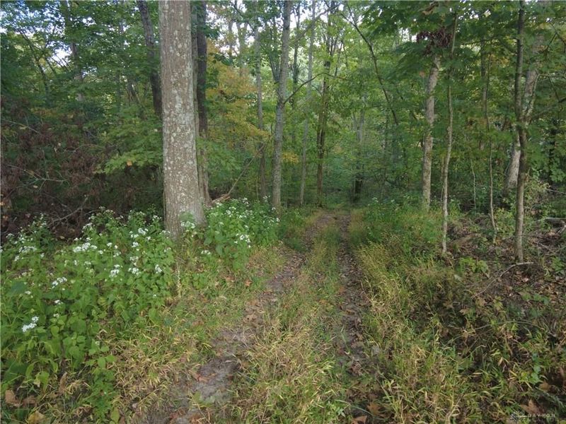 22 Richey Road, Felicity, OH 45120 Photo 11