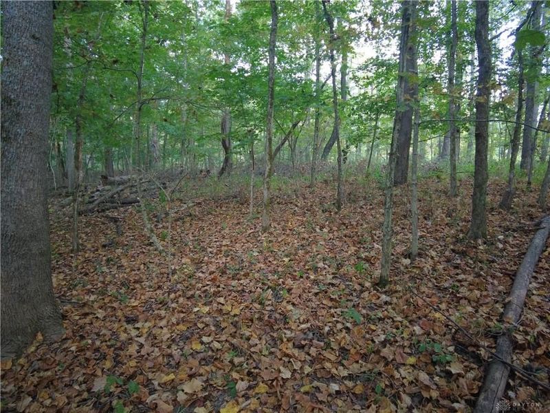 22 Richey Road, Felicity, OH 45120 Photo 20