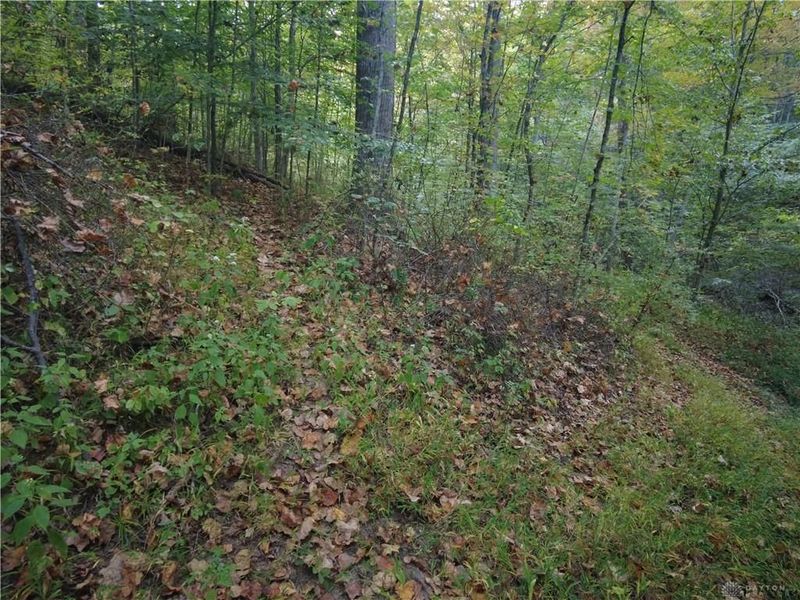 22 Richey Road, Felicity, OH 45120 Photo 23