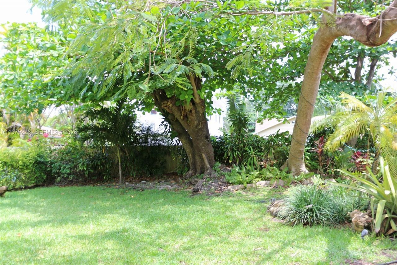 3395 Franklin Ave , Unit D, Miami, FL 33133 Photo