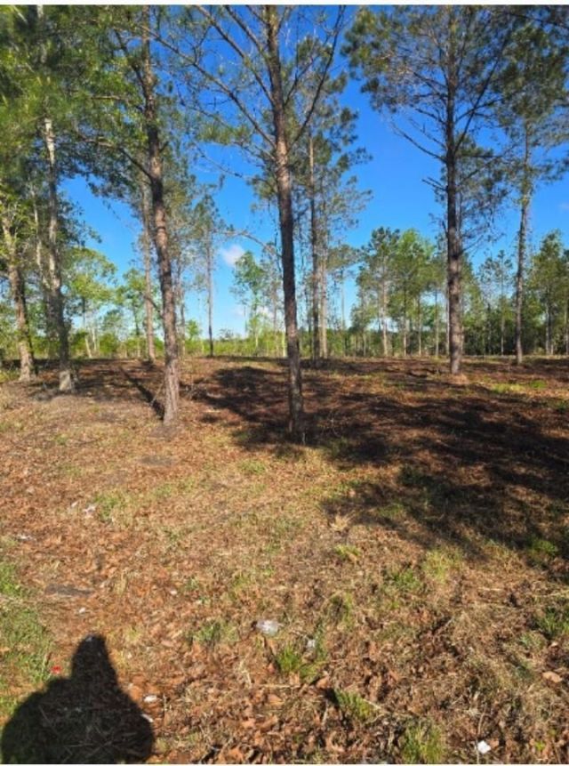 1513 Oakdale Rd. Photo 2