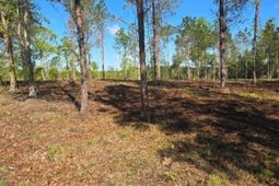 1513 Oakdale Rd. photo 4