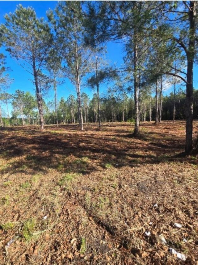 1513 Oakdale Rd. Photo 3