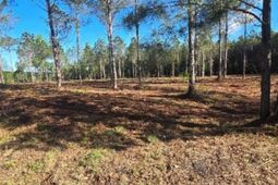 1513 Oakdale Rd. photo 4